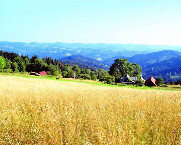 Na Solni