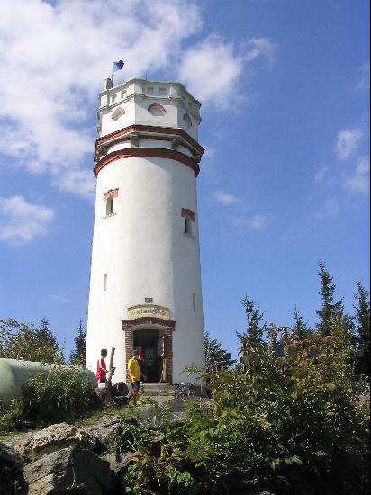 Biskupsk kupa