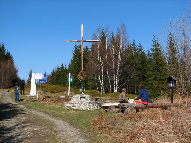 Biskupsk kupa